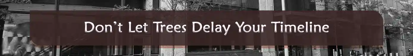 https://slkbuildings.com/wp-content/uploads/slk-buildings-81100004-parks-do-not-let-trees-delay-your-timeline.webp