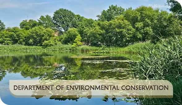 Department of Environmental Conservation agency wetlands
