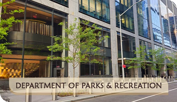 NYC Department of Parks and Recreation street tree permit for Builders Pavement Plan (BPP)